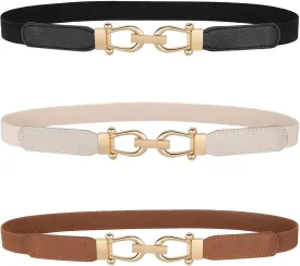 JASGOOD Women Skinny Elastic Belt for Dresses,Thin Retro Stretch Waist Belt with Golden Buckle