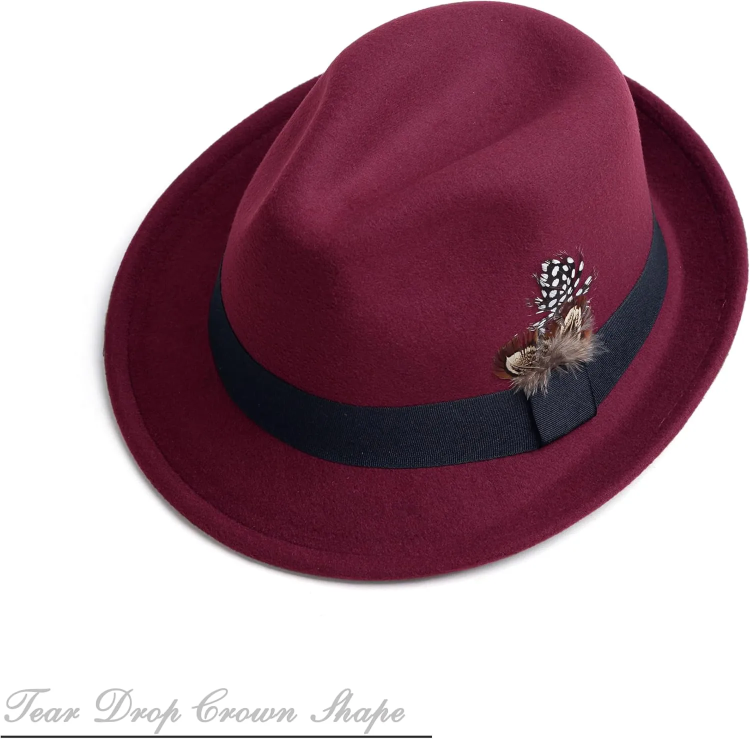 Short Brim Fedora Hats for Men & Women Felt Dress Panama Trilby Hats with Feathers Band